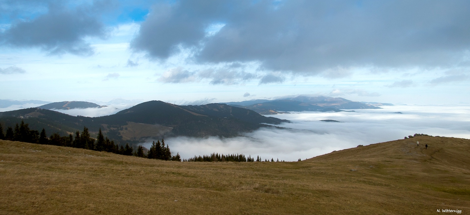 altes-almhaus-nebel