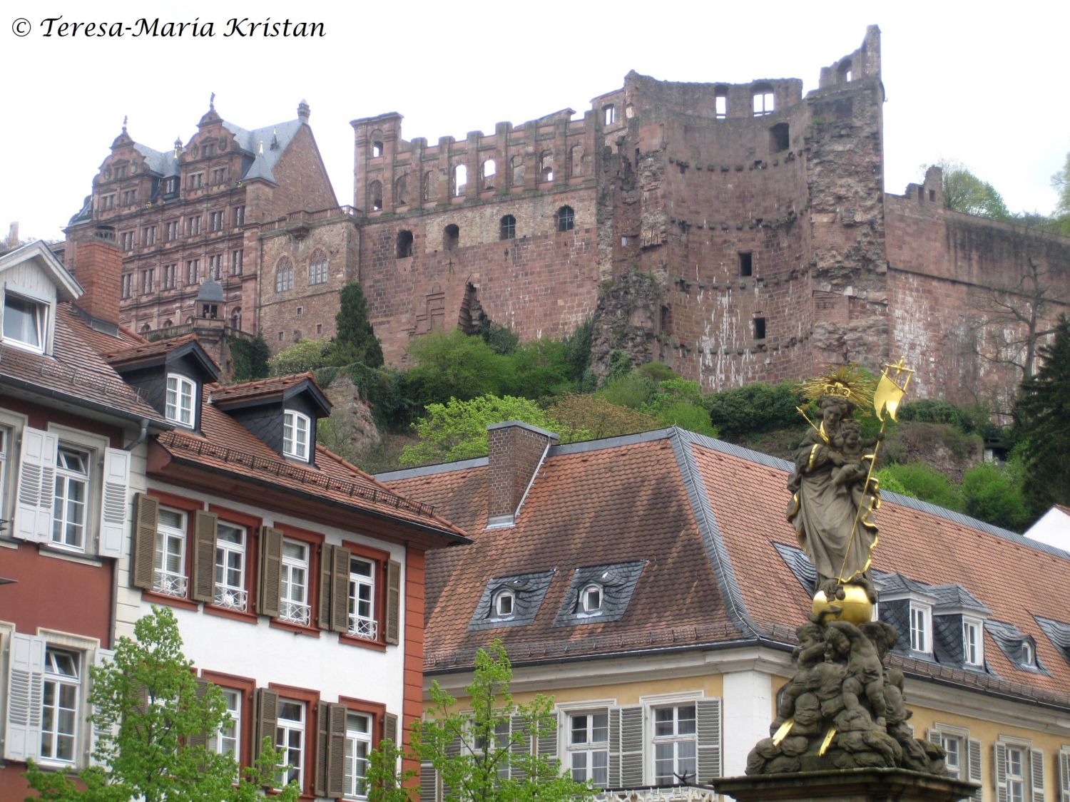 Altstadt Heidelberg mit Blick zum Heidelberger Schloss