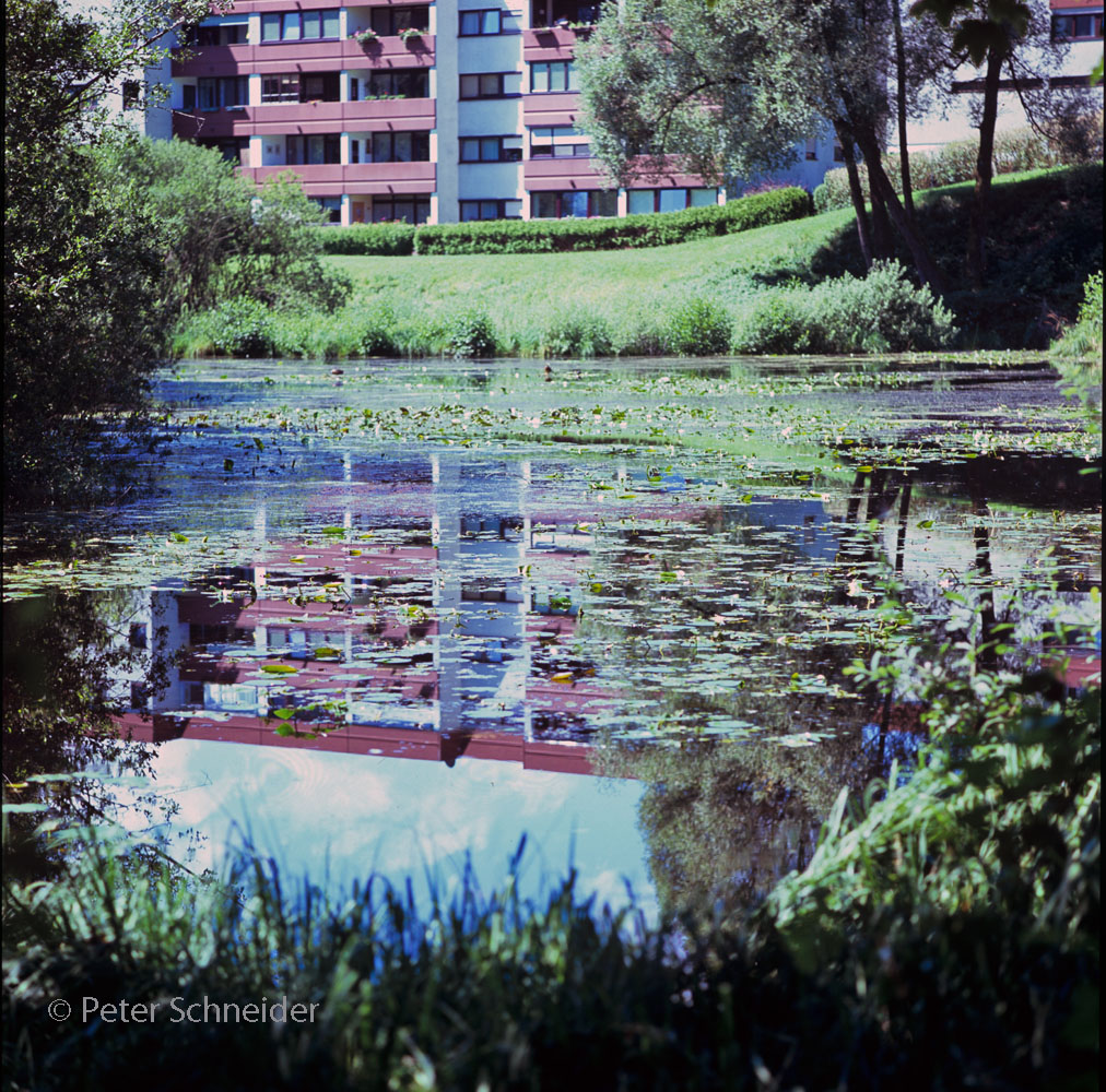 Am Krottensee