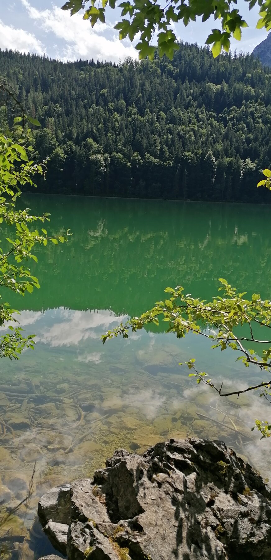 Am Leopoldsteiner See