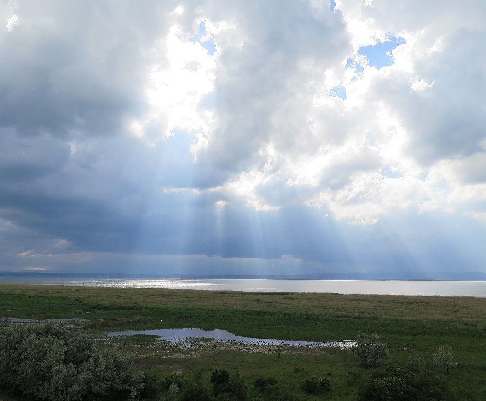 am Neusiedlersee