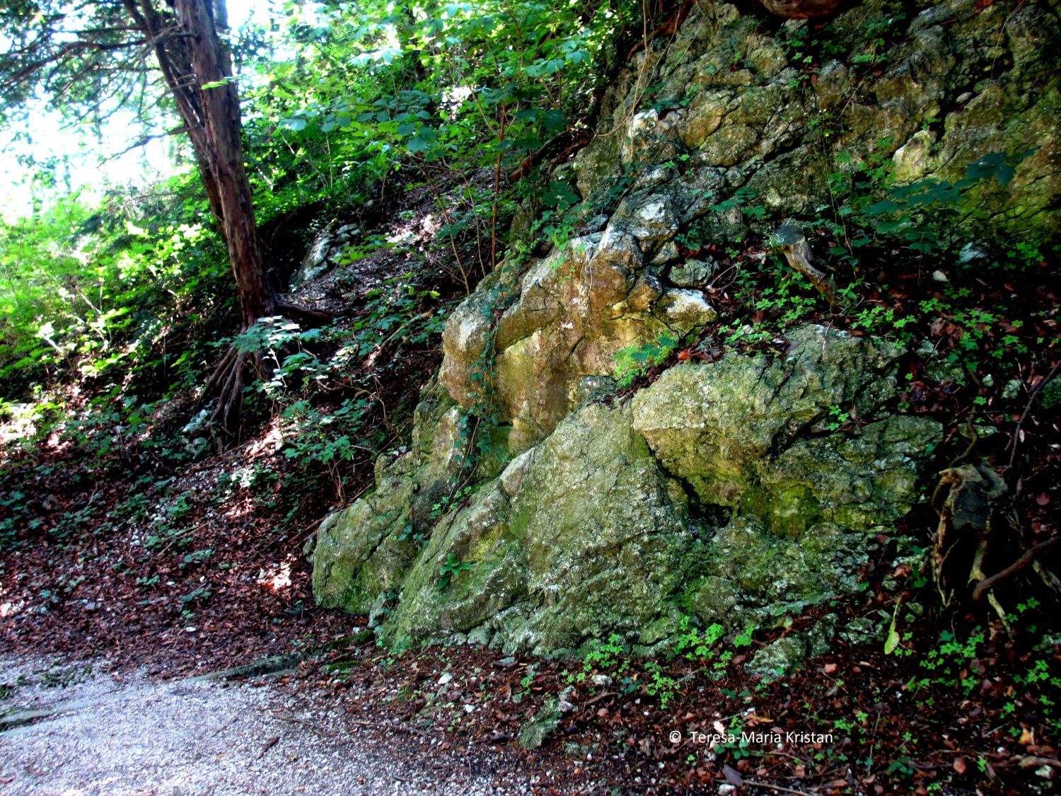 Am Odinstein, Traunkirchen