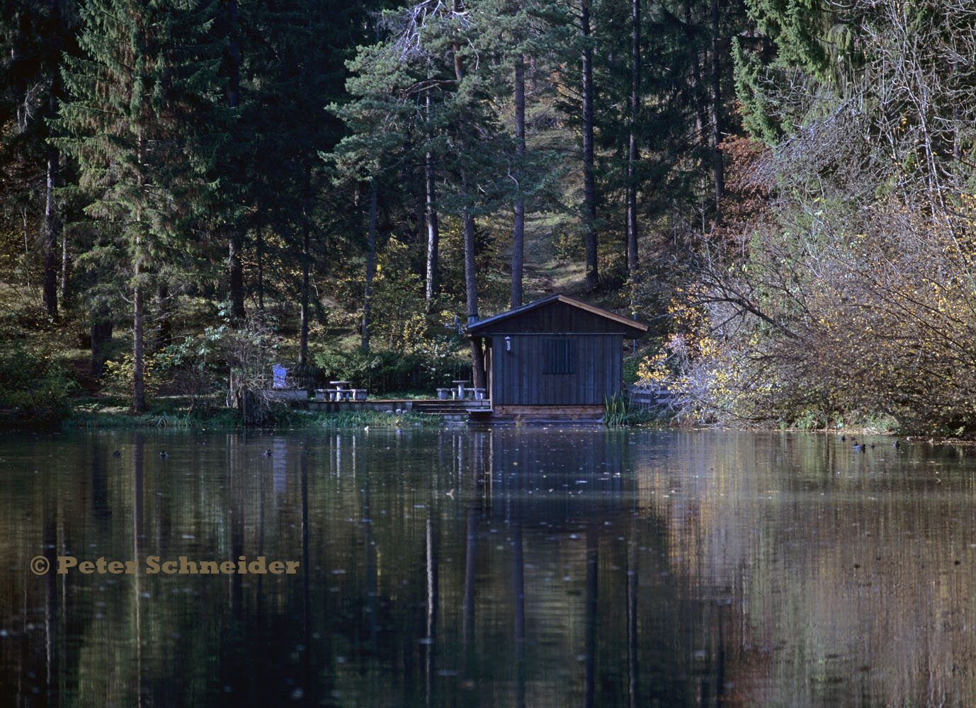 Am Starkenberger See