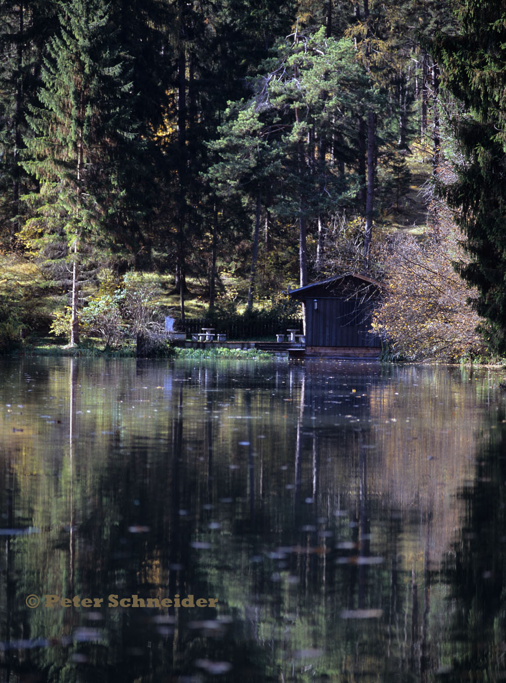 Am Starkenberger See