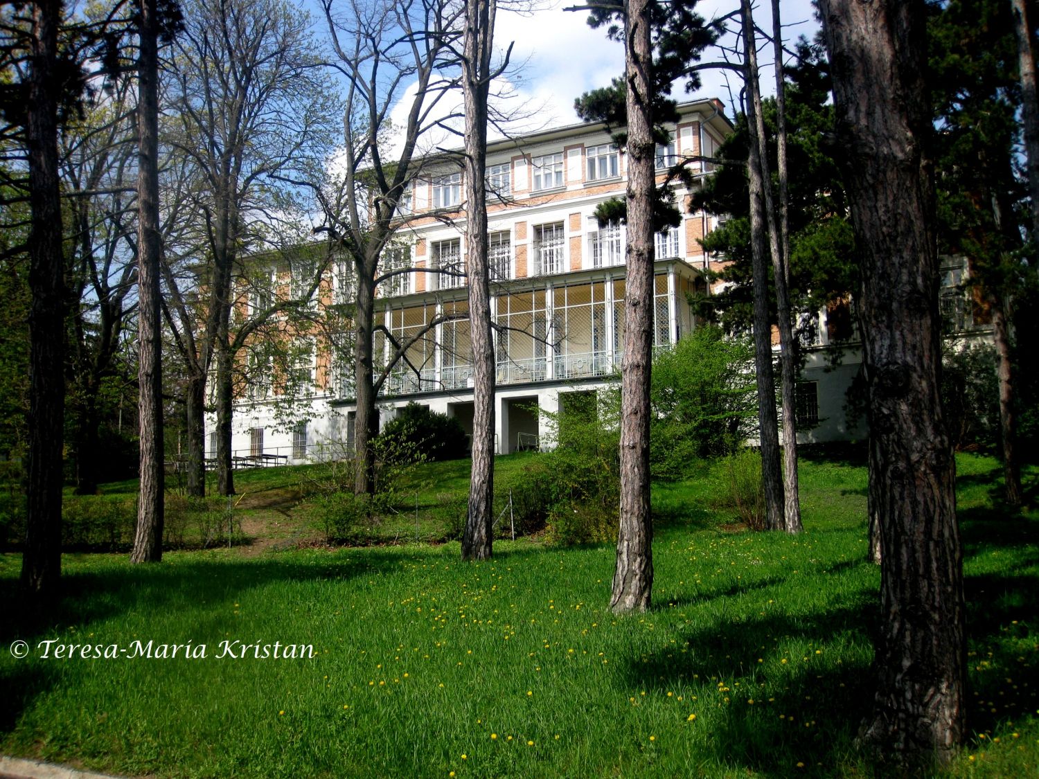 Am Steinhof