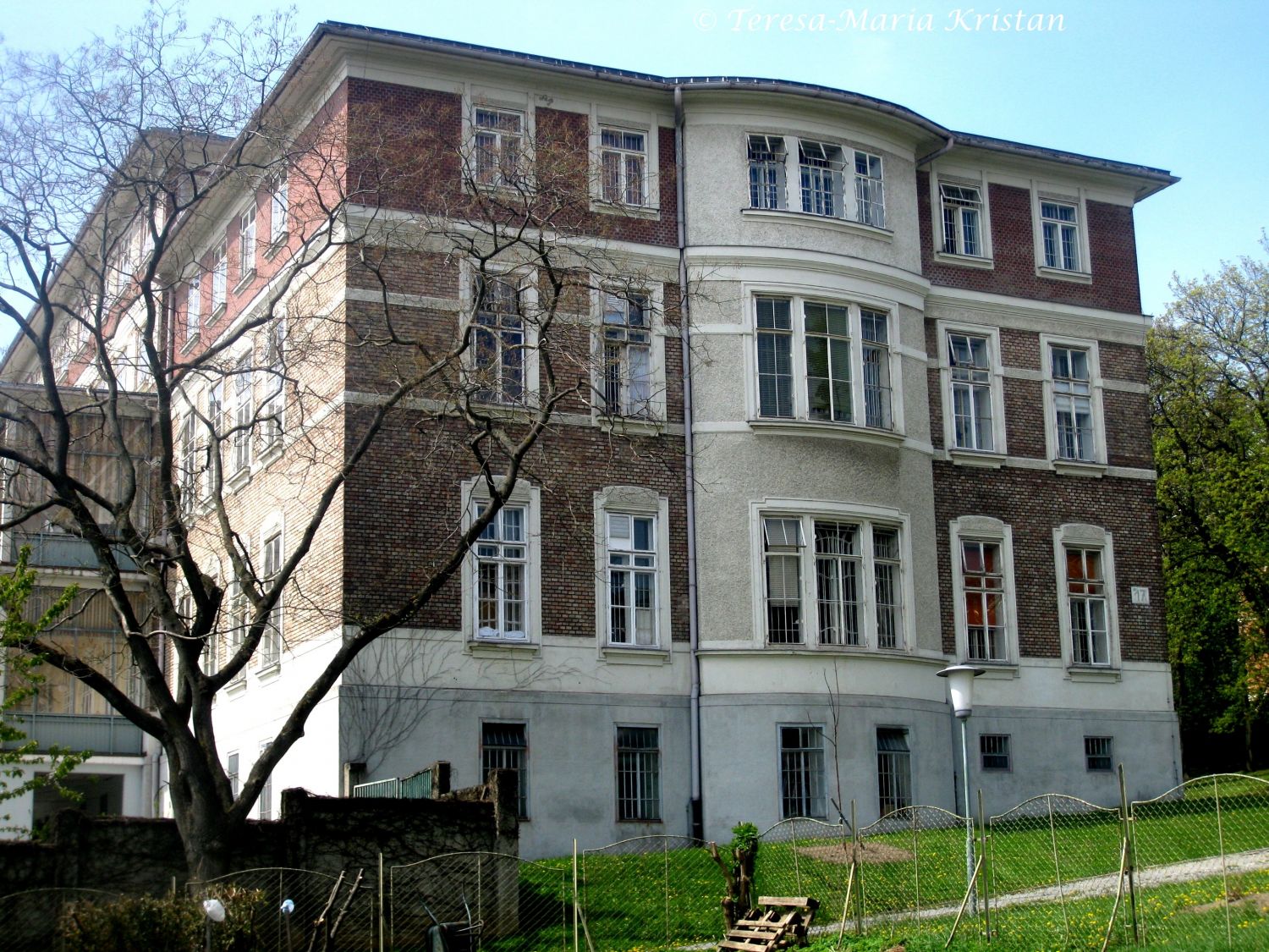 Am Steinhof