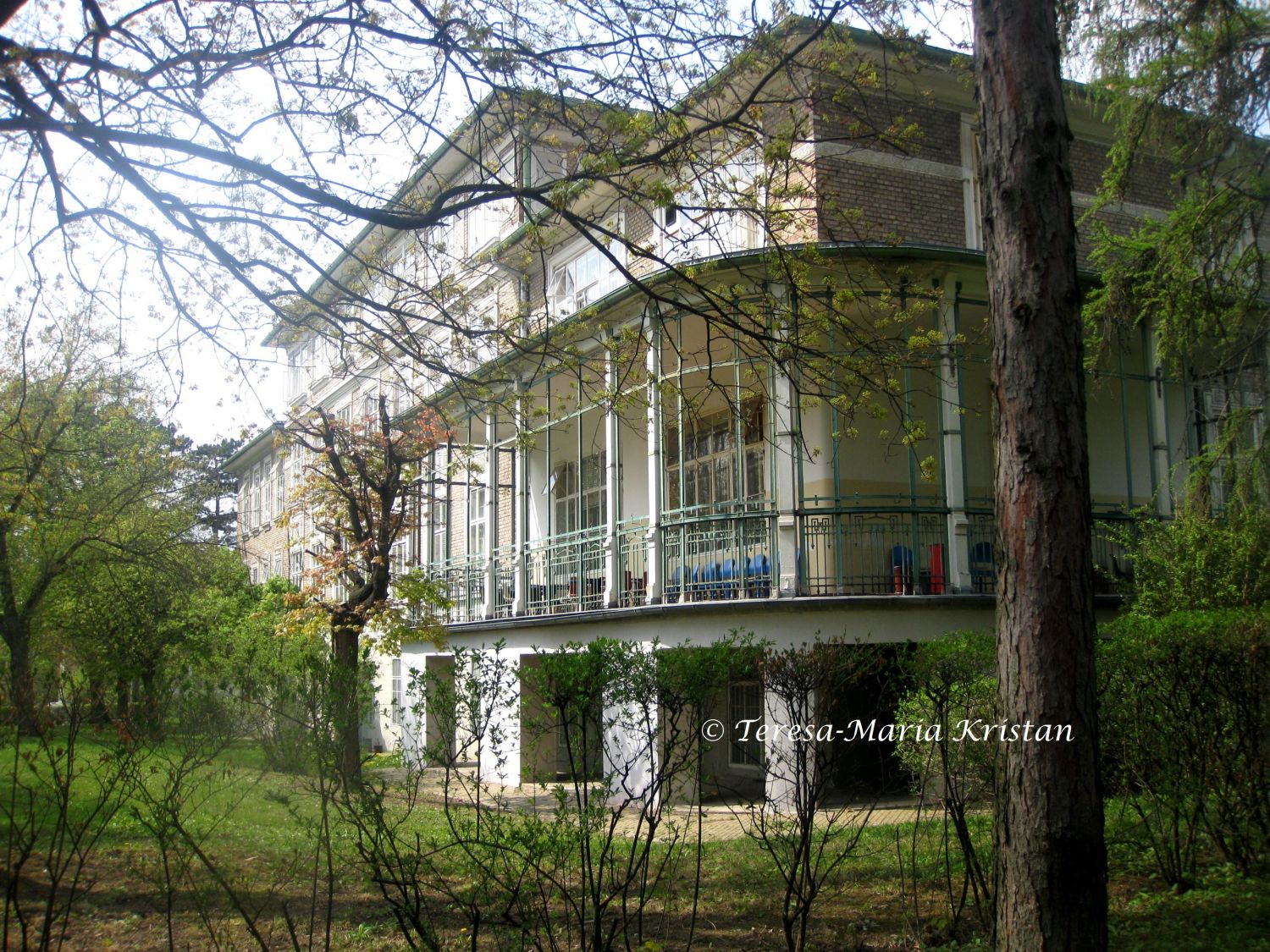 Am Steinhof