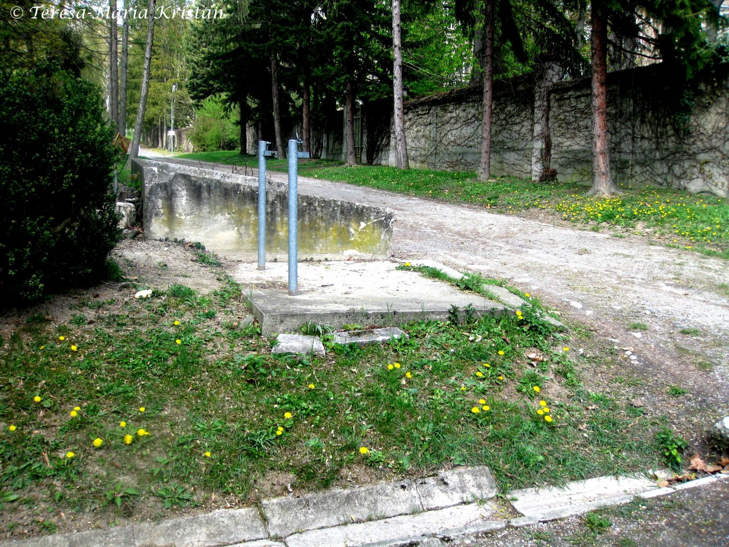 Am Steinhof