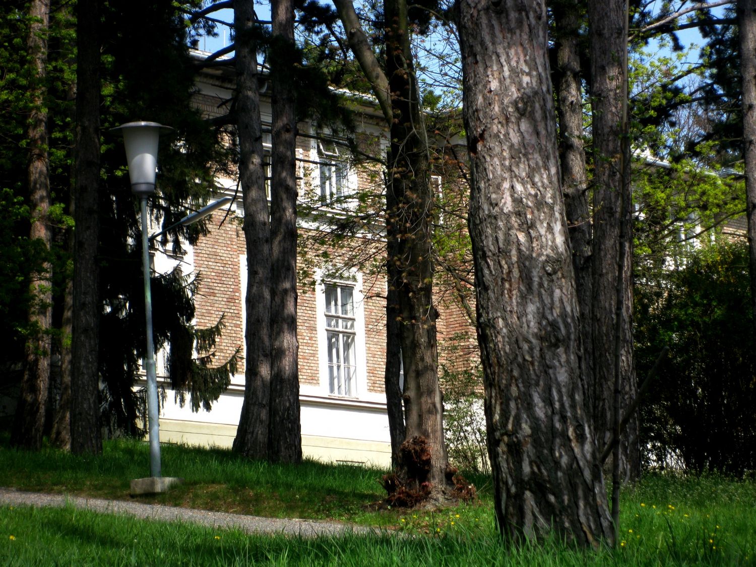 Am Steinhof