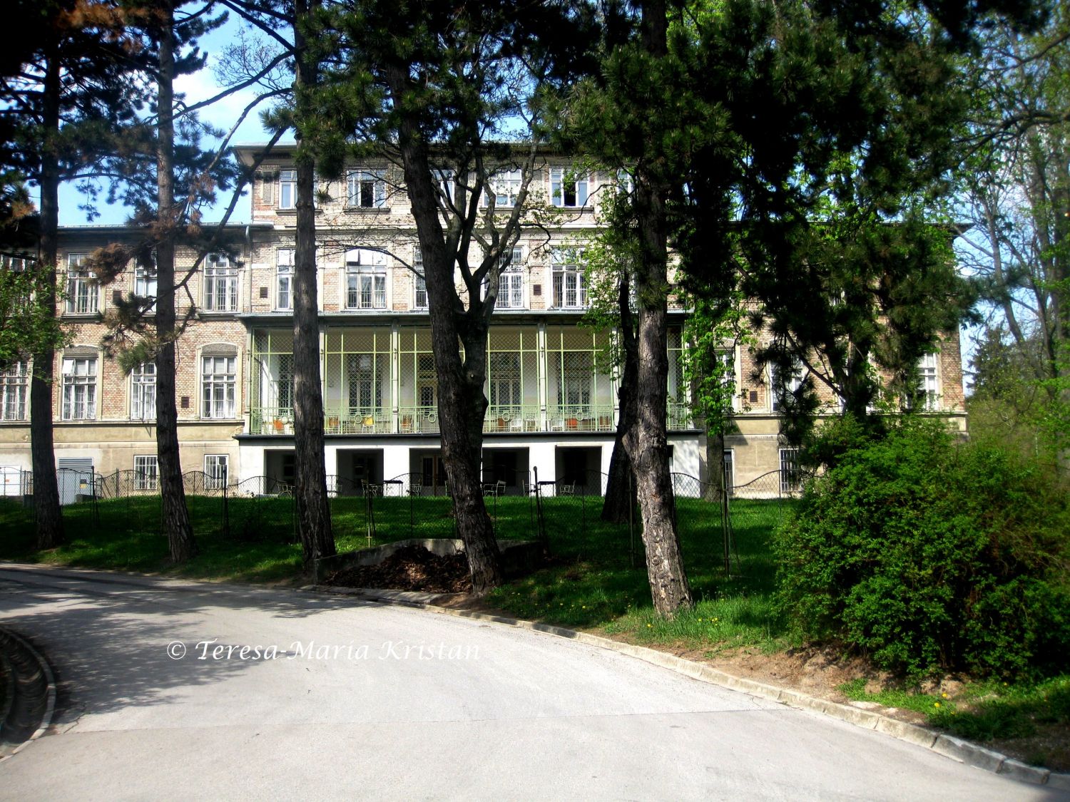 Am Steinhof