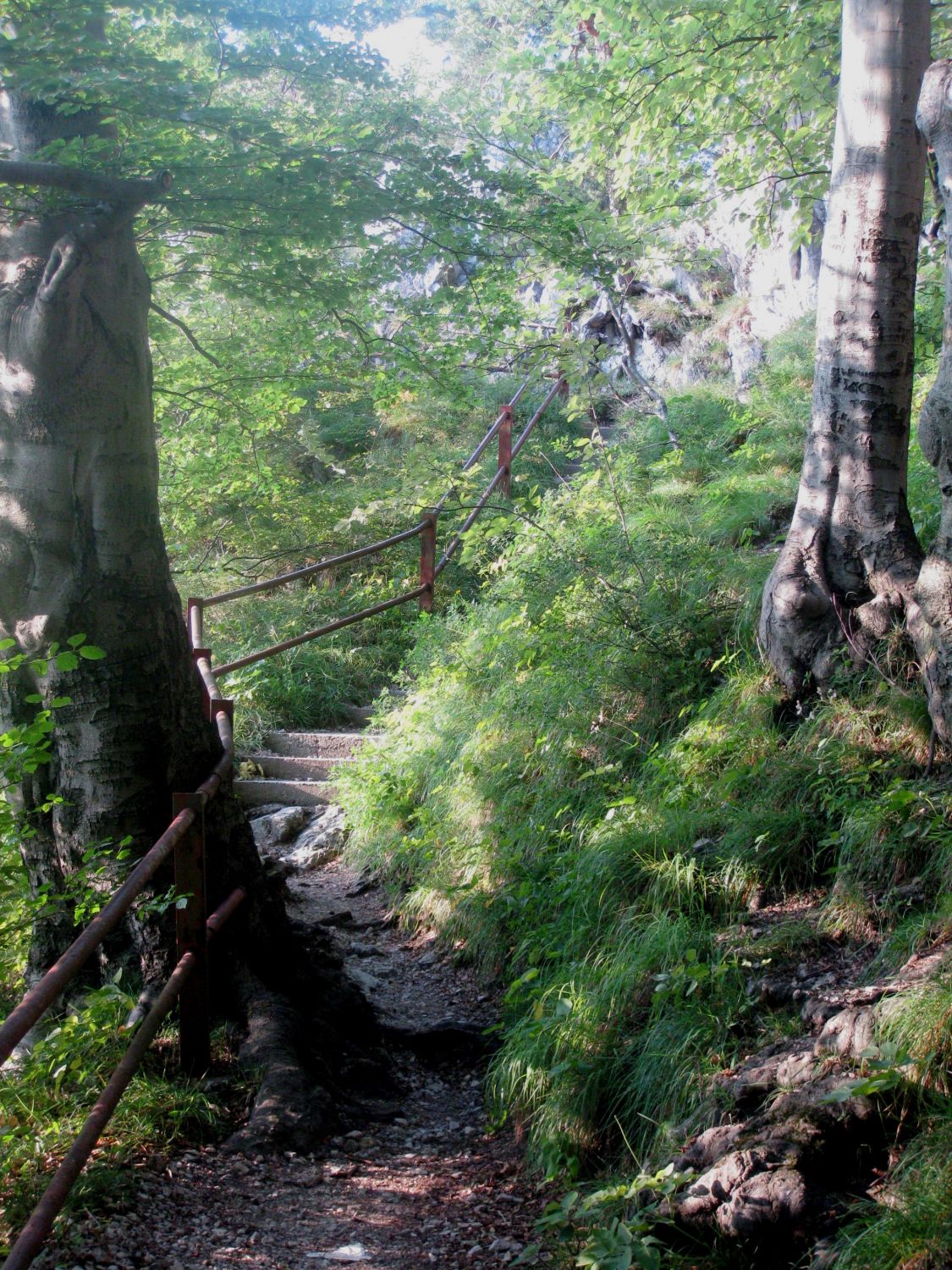 Am Weg zum Jungfernsprung, Burgruine Gösting, Graz