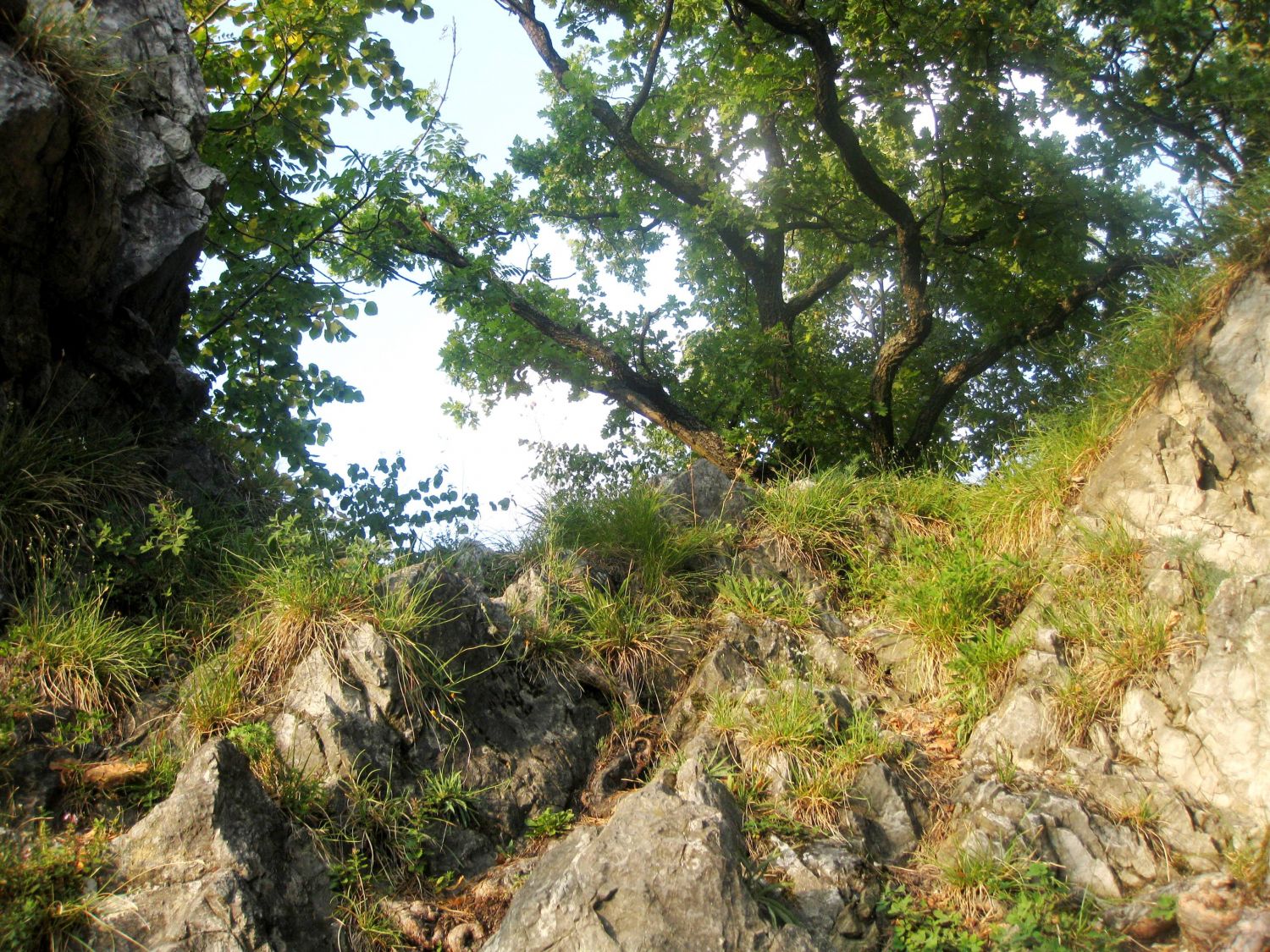 Am Weg zum Jungfernsprung, Burgruine Gösting, Graz