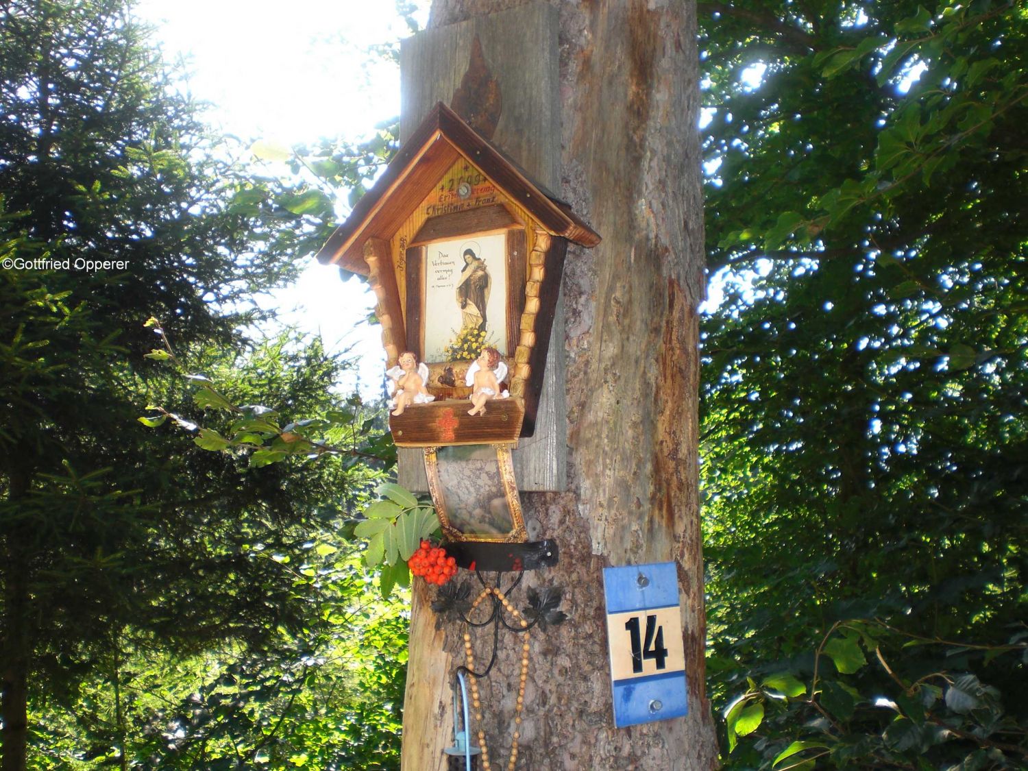 Am Weg zur Arzler Alm