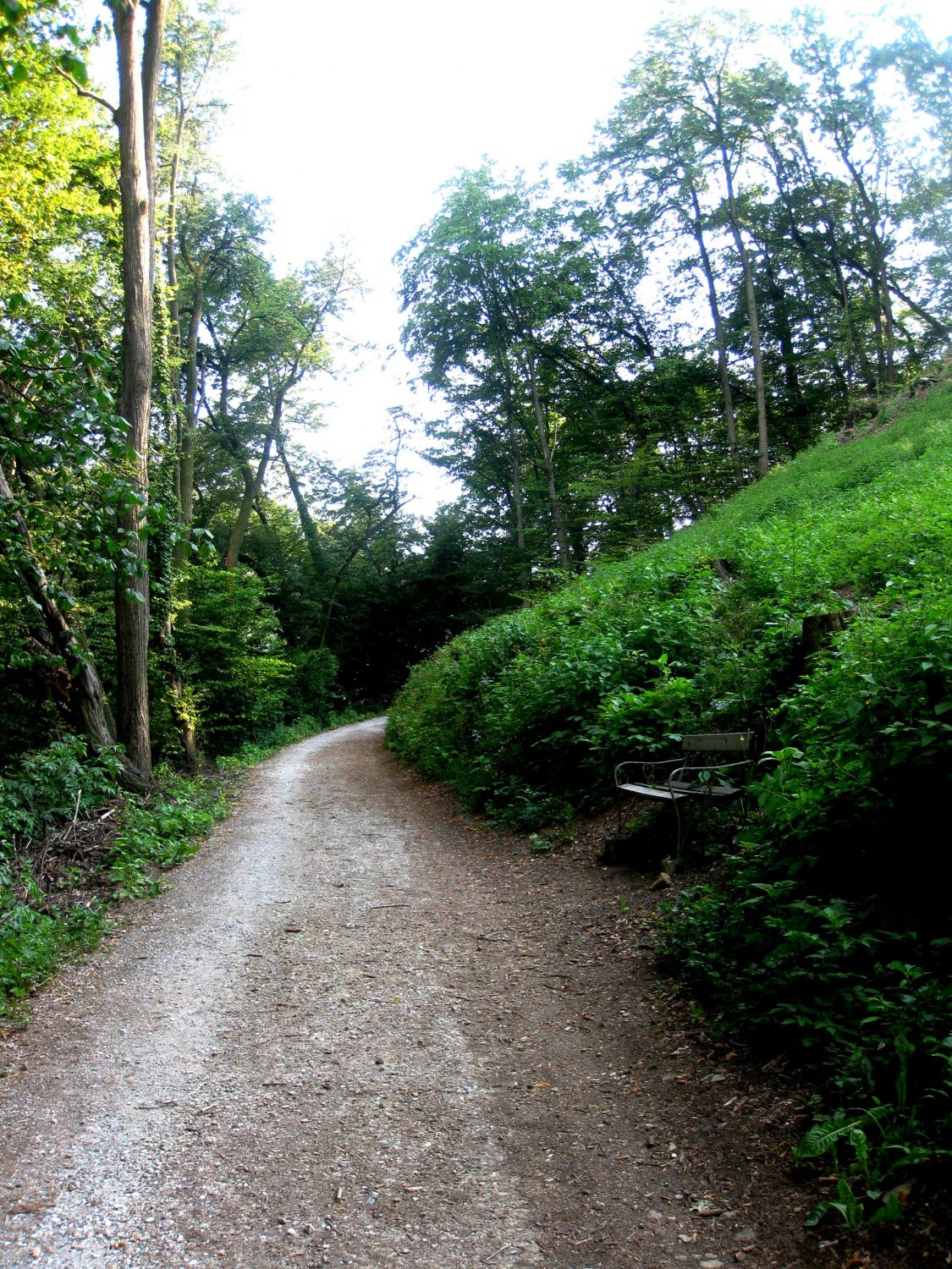 Am Weg zur Burgruine Gösting, Graz