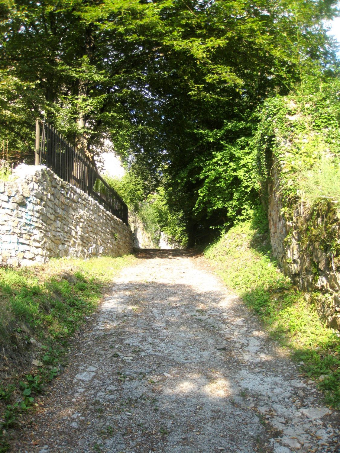 Am Weg zur Burgruine Gösting, Graz