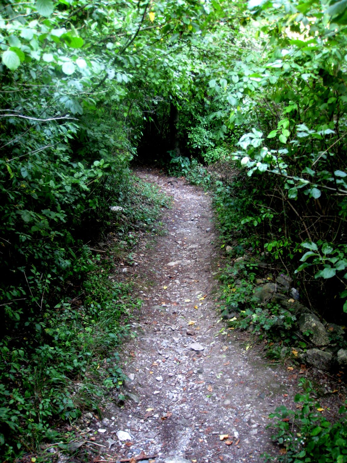 Am Weg zur Burgruine Gösting, Graz