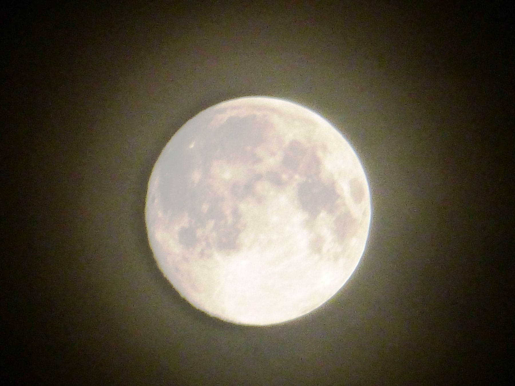 An den Mond, welcher so wundervoll über unserem Wäldchen sich geöffnet hat.