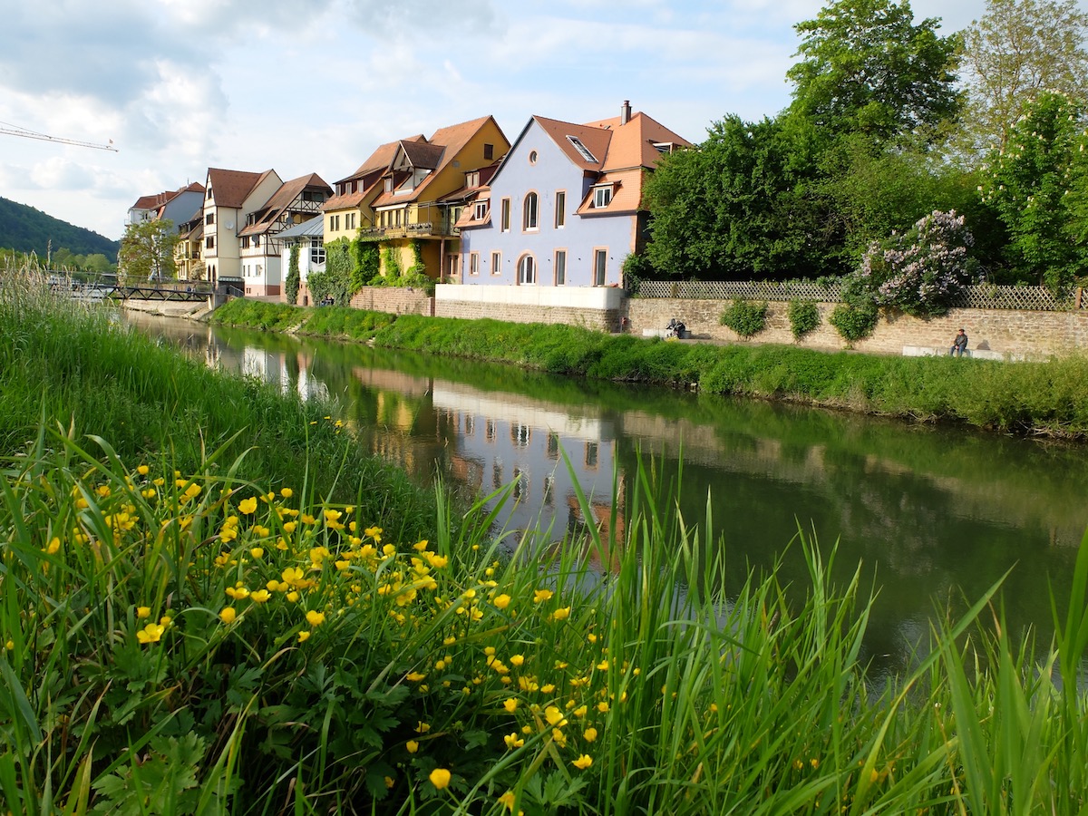 An der Tauber in Wertheim