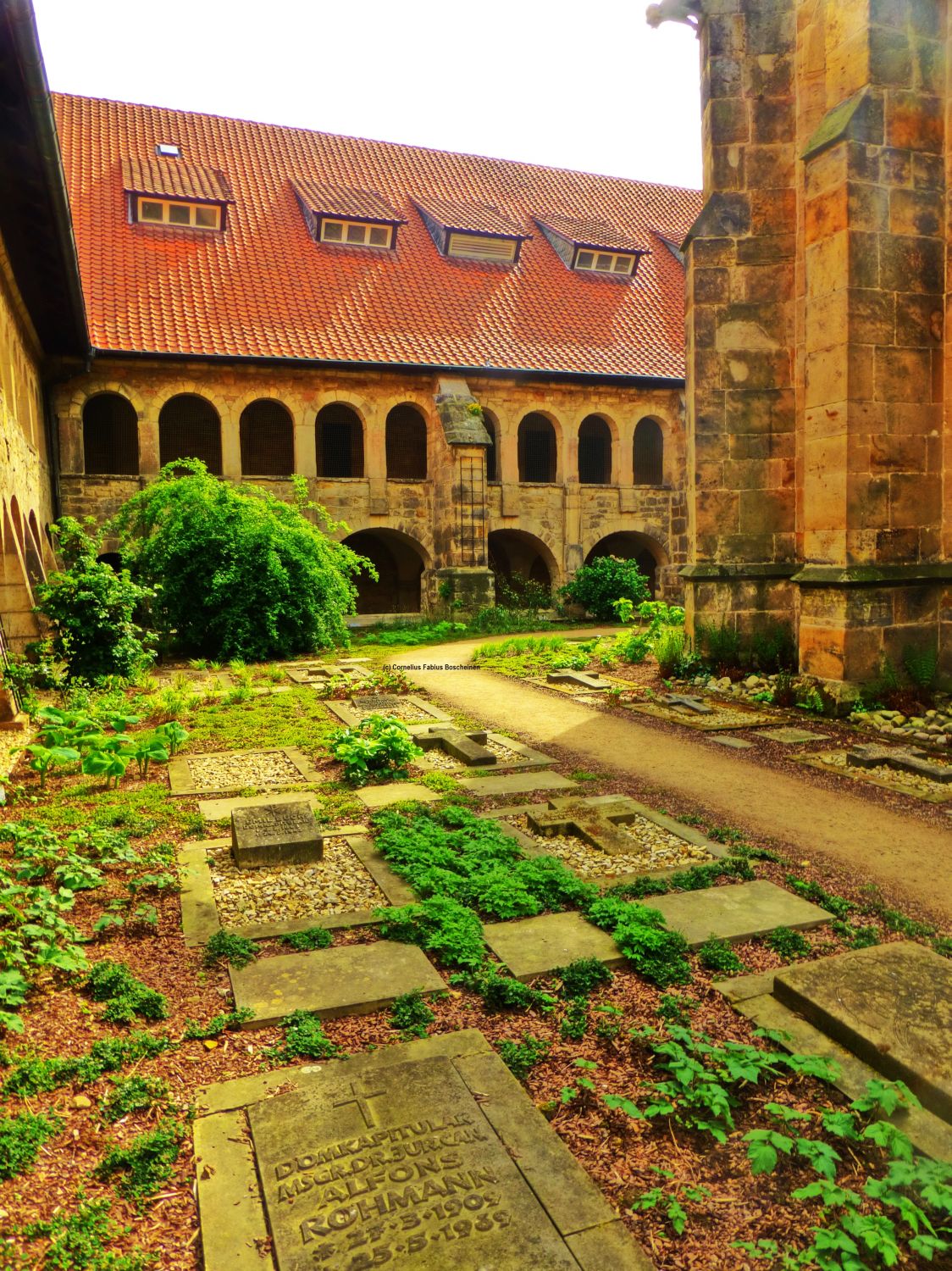 Annenfriedhof des Hildesheimer Mariendom.