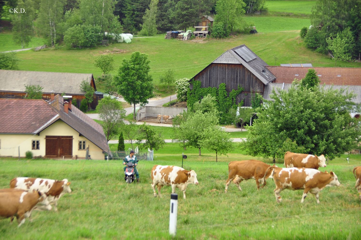 Ansichten aus Pretrobruck im Waldviertel