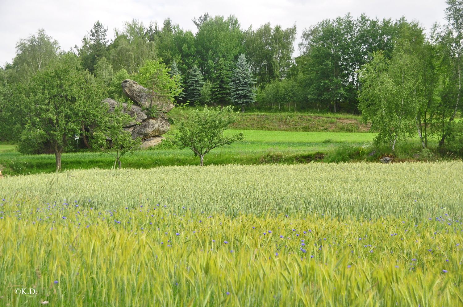 Ansichten aus Pretrobruck im Waldviertel