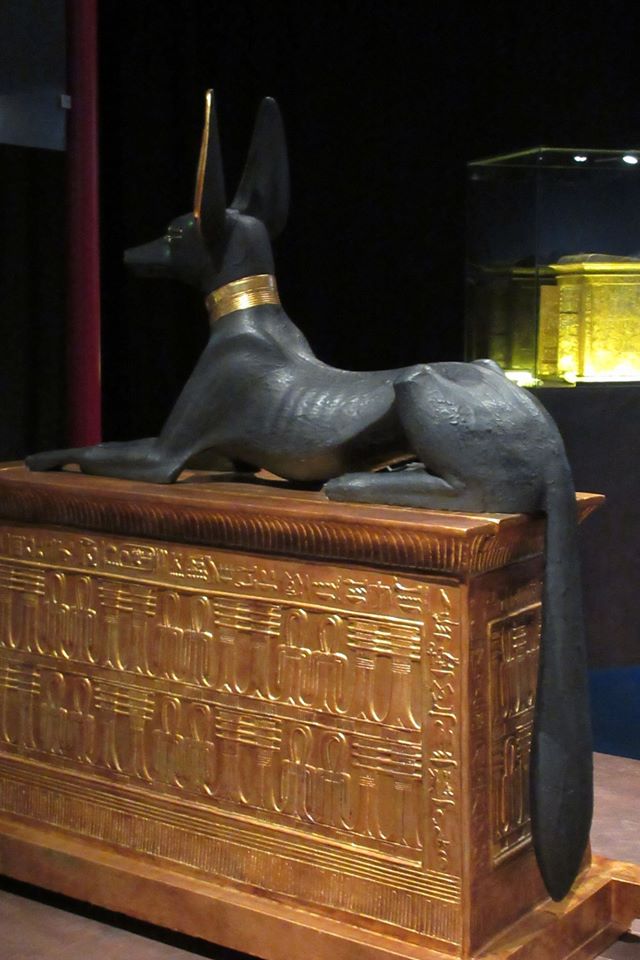 Anubis Grabkammer Tutanchamun