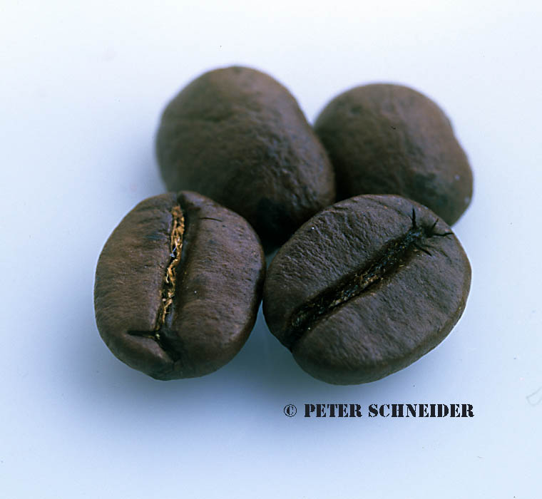 Arabica Bohnen