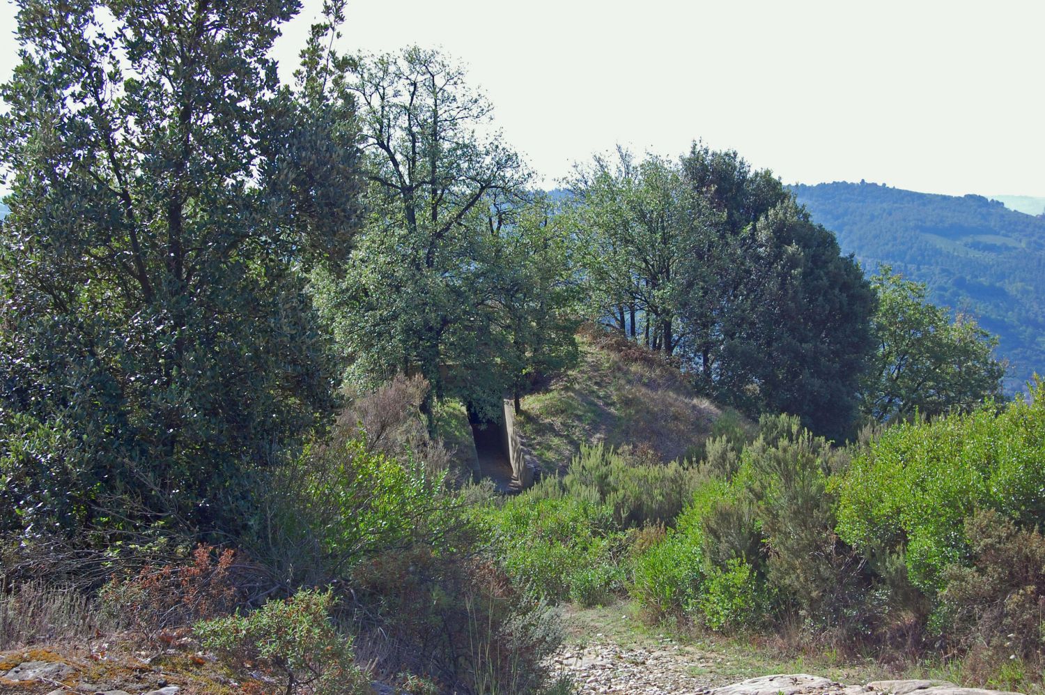 Artimino - Etruskische Nekropole von Prato Roselle (Tumulus C)