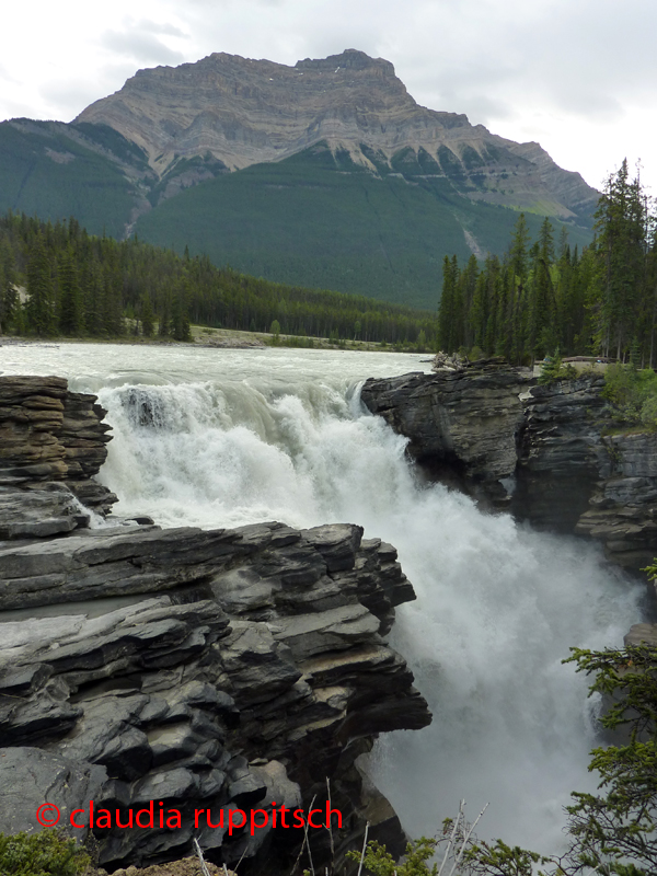 Athabasca Falls, Jasper Nationalpark, Alberta, Canada