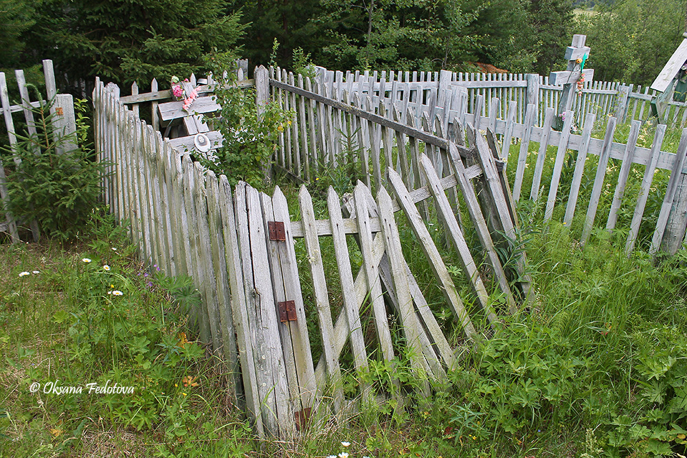 auf dem Friedhof