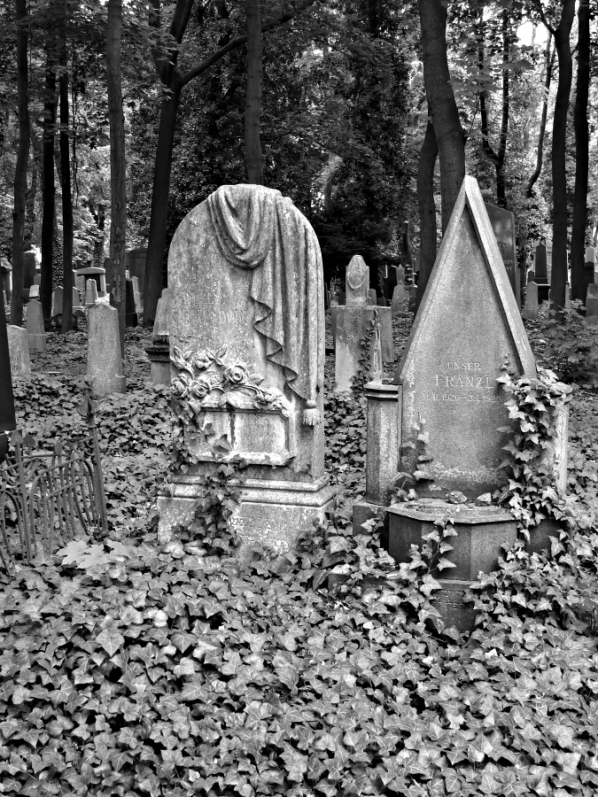 Auf dem Neuen Jüdischen Friedhof von Prag