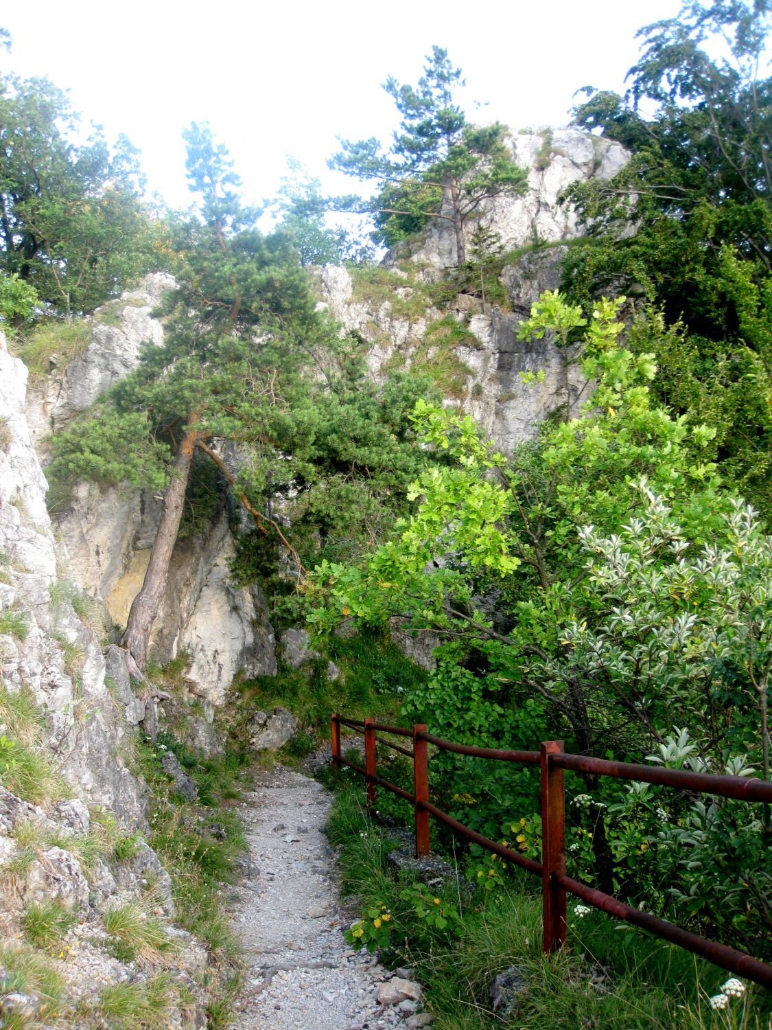 Auf dem Weg zum Jungfernsprung, Burgruine Gösting, Graz