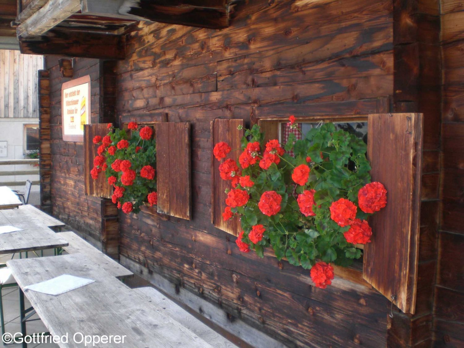 Auf der Kasalm in der Wilschönau (Markbachjoch) Tirol