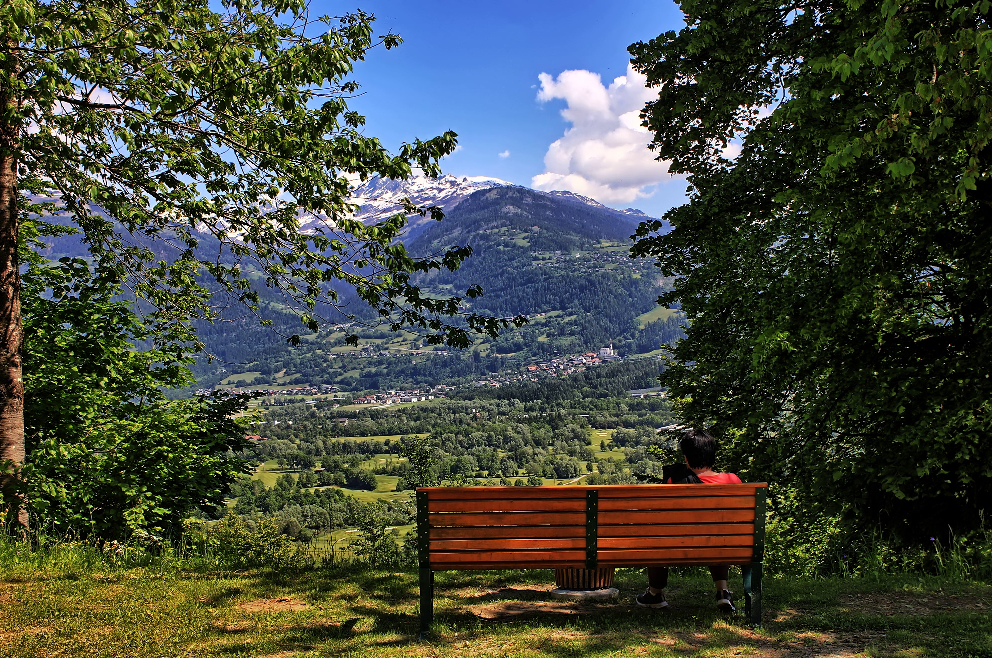 Ausblick