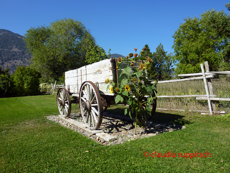 Ausgedienter Fuhrwagen im Similkameen Valley, Kanada