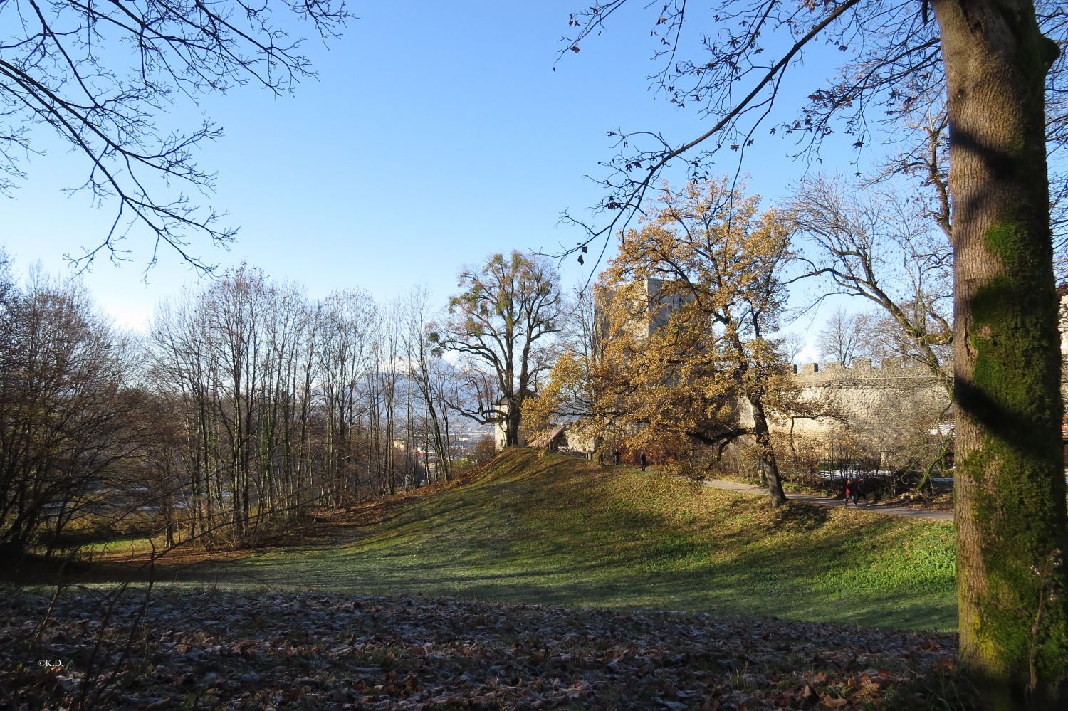 Bürgerwehr in Salzburg