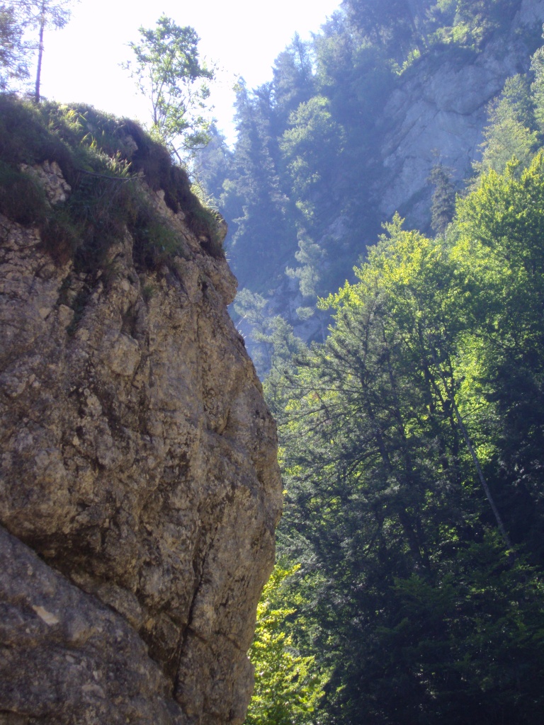 Bachsteinklamm in Göstling