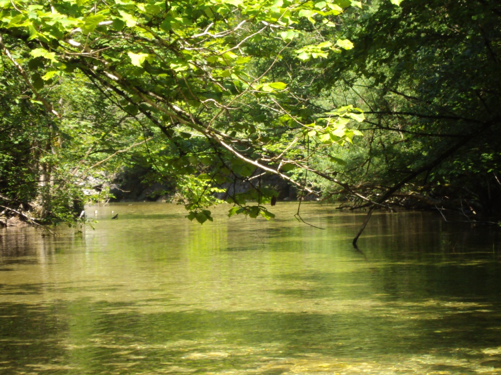 Bachsteinklamm in Göstling