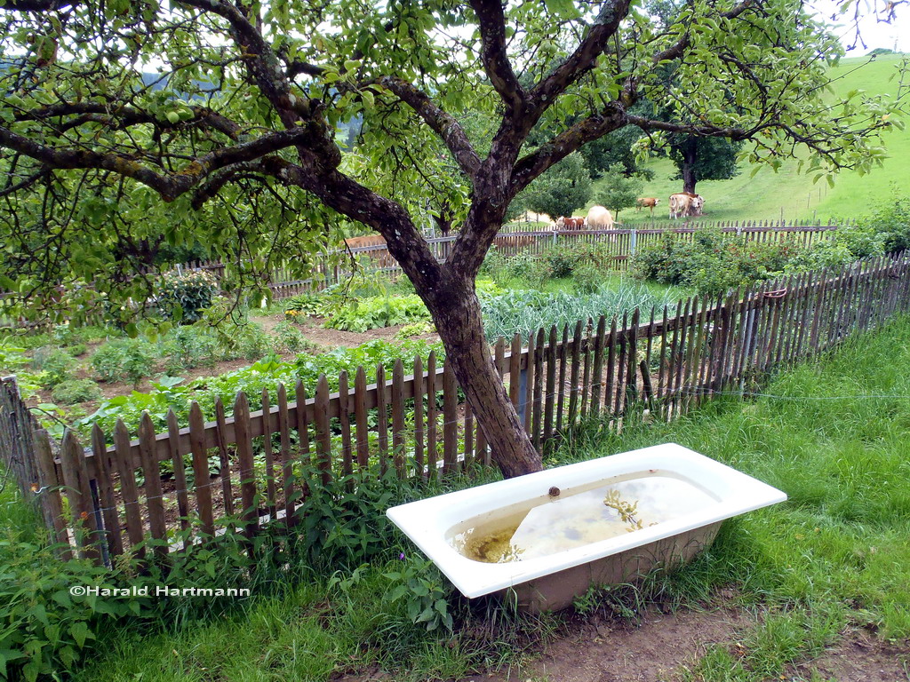 Bauerngarten Guttaring