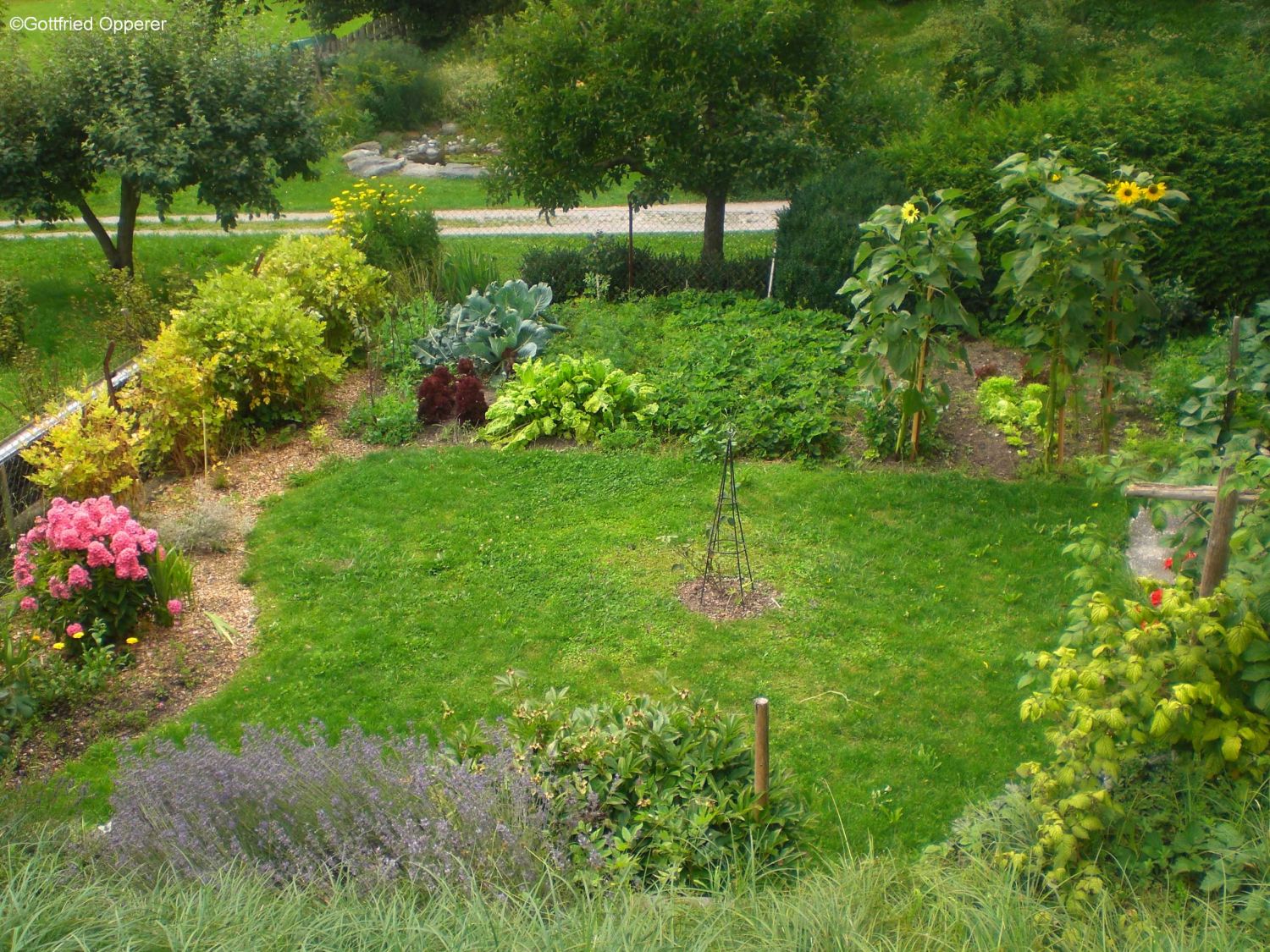 Bauerngarten im Juli