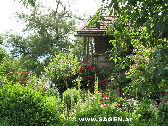 Bauerngarten in Mils im Unterinntal, Tirol