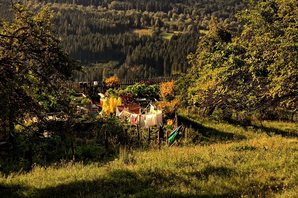 Bauerngarten