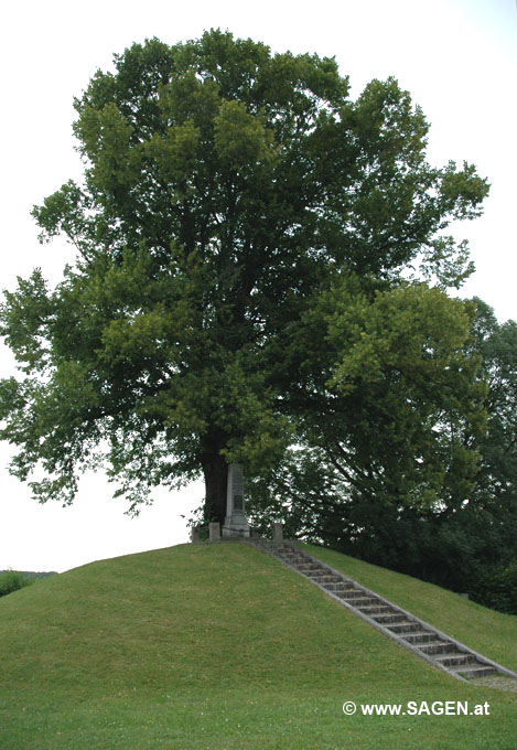 Bauernhügel Pinsdorf