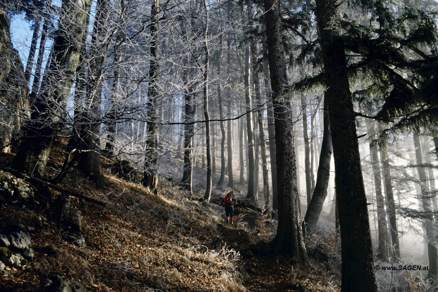 Beim Bergwandern in den Alpen