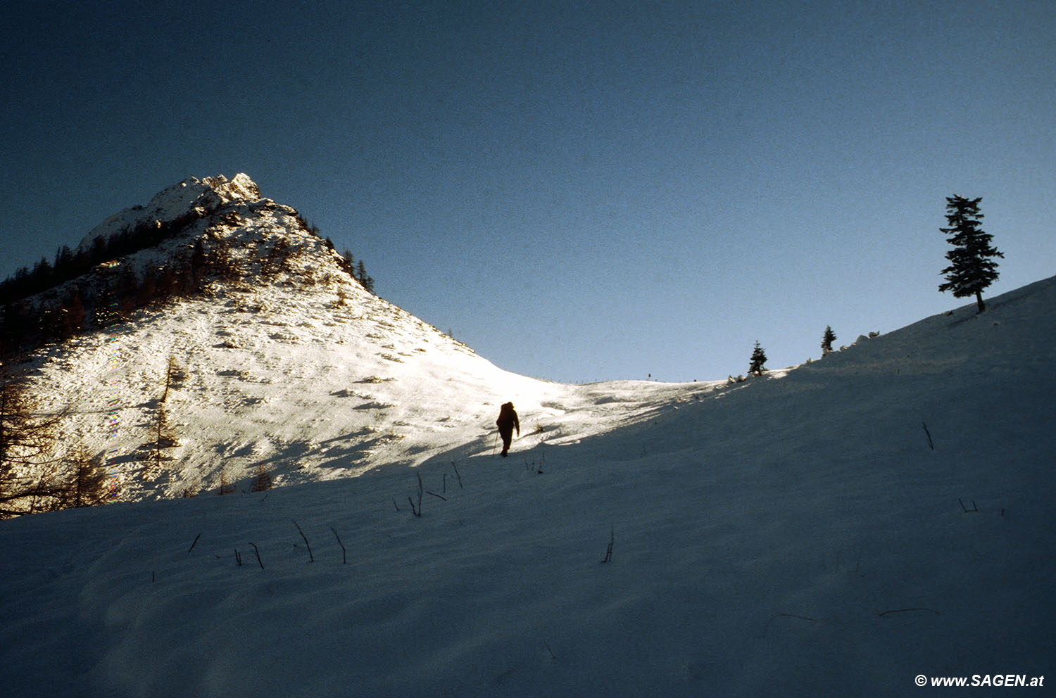 Beim Bergwandern in den Alpen