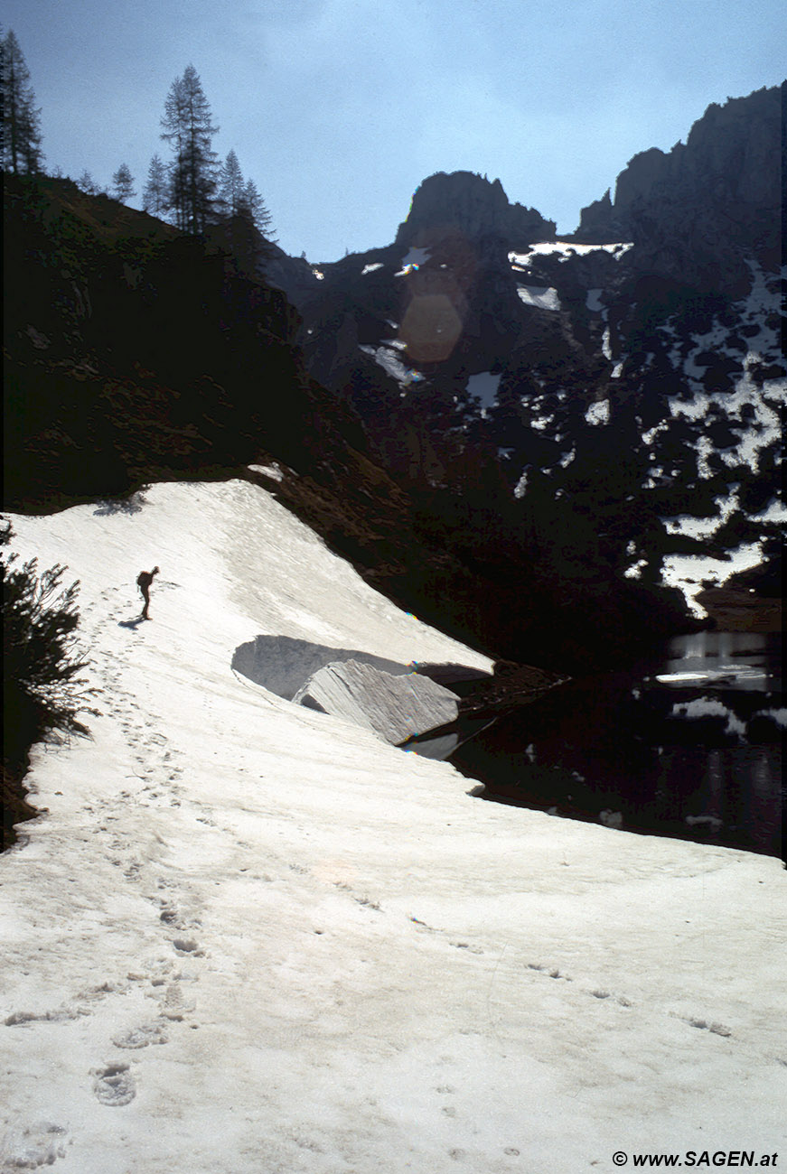 Beim Bergwandern in den Alpen