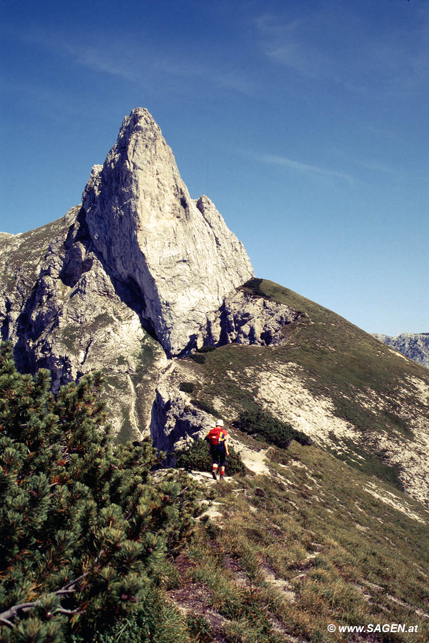 Beim Bergwandern in den Alpen