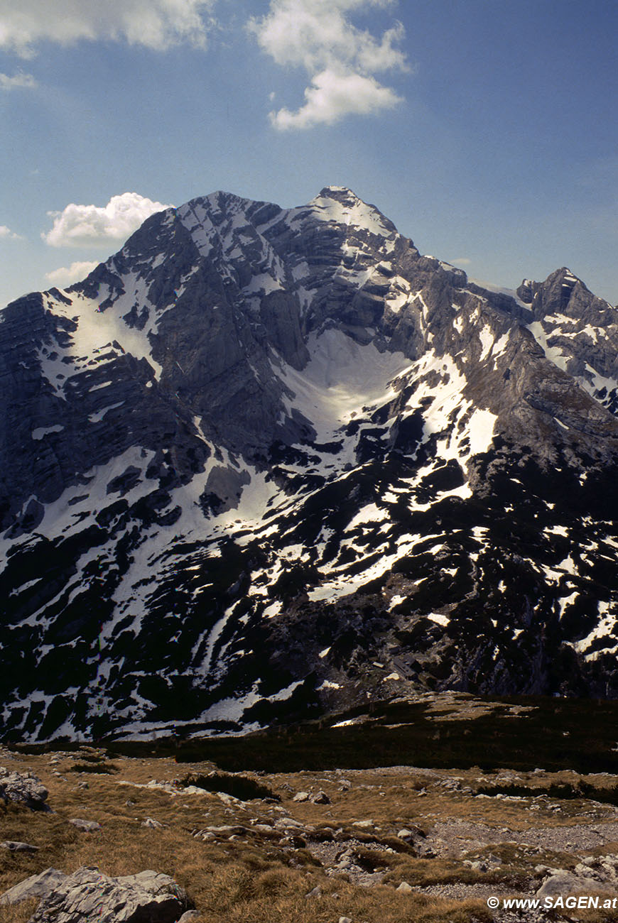 Beim Bergwandern in den Alpen