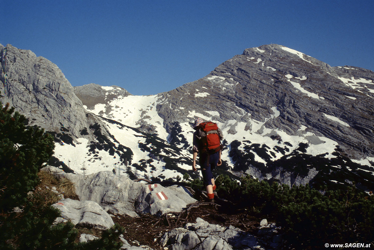 Beim Bergwandern in den Alpen