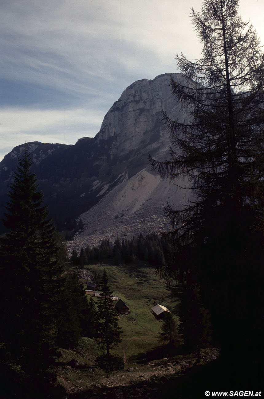 Beim Bergwandern in den Alpen